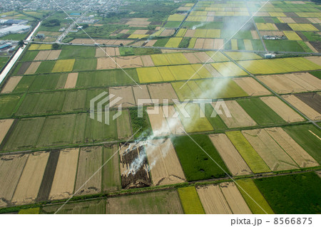稲刈り後の田んぼの野焼き 8566875