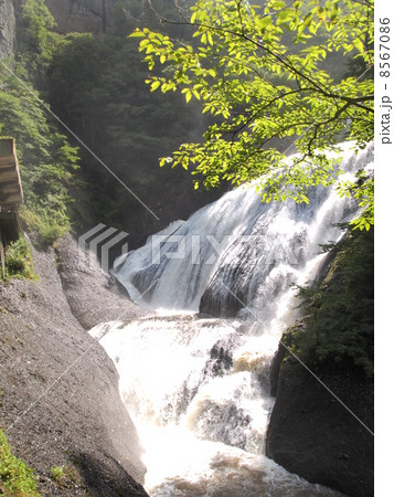 袋田の滝 8567086