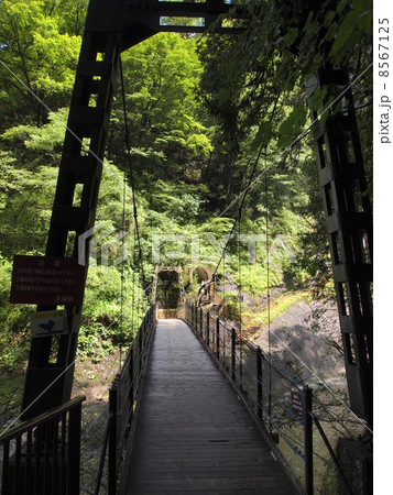 袋田の滝の吊り橋 8567125