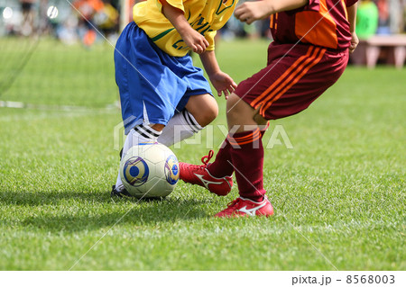 サッカー サッカー 8568003