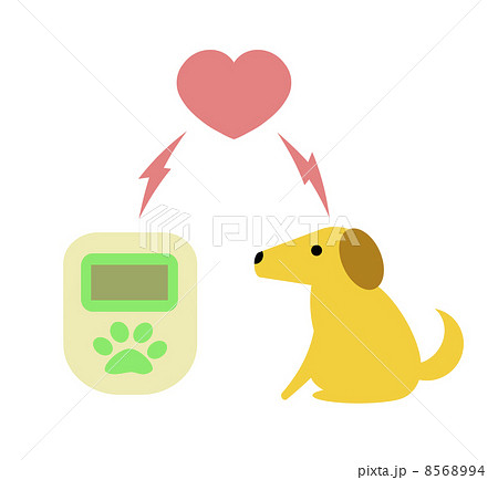 犬の気持ち 犬の気持ち 8568994