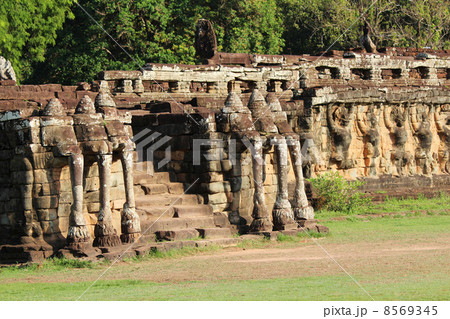 像のテラス 像のテラス 8569345