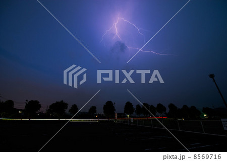 雷 雷 8569716