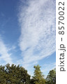 秋の空 8570022