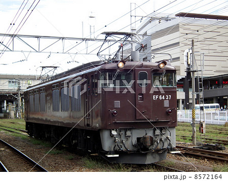 貨物列車　ＥＦ64　ぶどう色　八王子駅 8572164