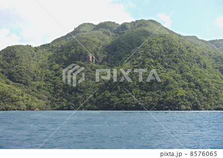 西表島 舟浮湾 西表島 舟浮湾 8576065