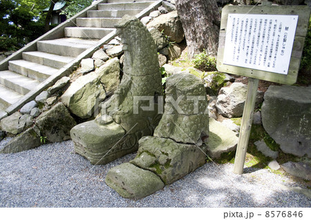 丸岡城の石の鯱 丸岡城の石の鯱 8576846