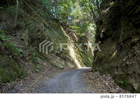 古道 吉崎御坊 吉崎道 8576847