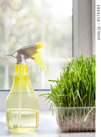 grass and sprayer indoors 8576984