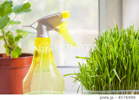 grass and sprayer indoors grass and sprayer indoors 8576990