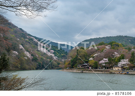嵯峨野嵐山 嵯峨野嵐山 8578106