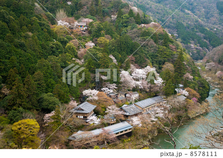 嵯峨野嵐山 保津峡谷 嵯峨野嵐山 保津峡谷 8578111