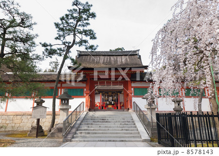 斎場所大元宮 斎場所大元宮 8578143