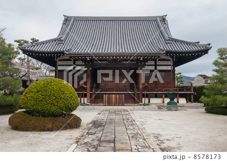 阿弥陀寺　本堂 8578173