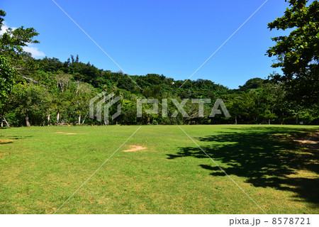 末吉公園 8578721