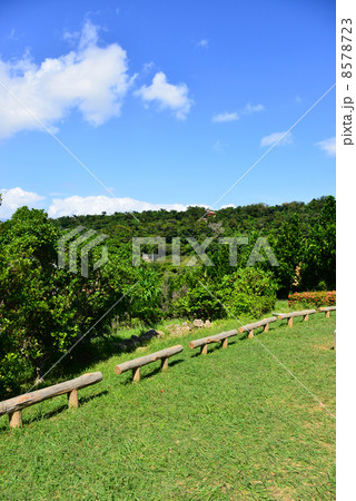 末吉公園 8578723