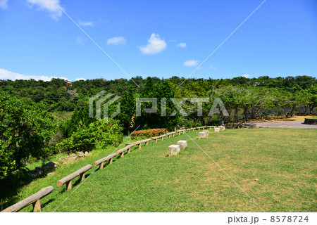 末吉公園 8578724