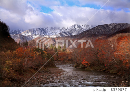 越後駒ケ岳の初冠雪と北ノ又川の紅葉　 8579077