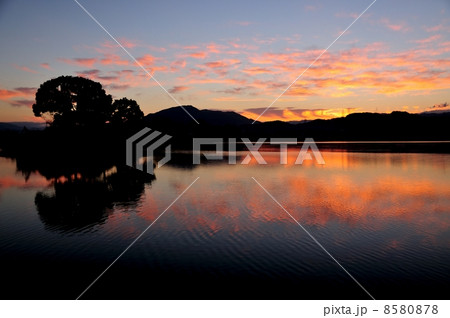 平池の朝日 8580878