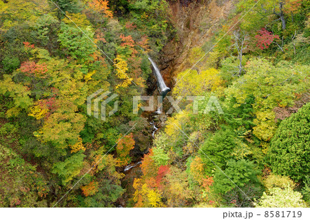 つばくろ谷の秋 8581719