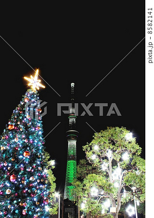 スカイツリーとクリスマスツリー 8582141