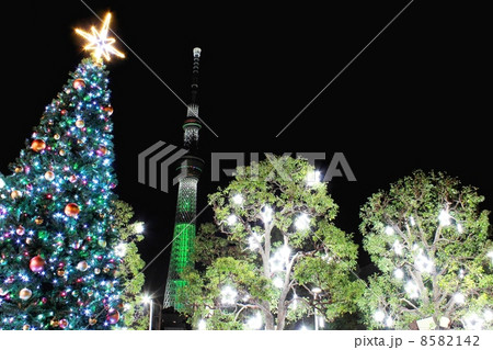 スカイツリーとクリスマスツリー 8582142