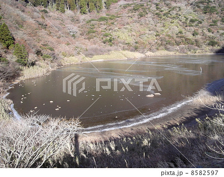 氷の張った精進池 8582597
