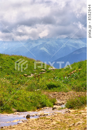 Green Meadow with flowers and water Stream and Mountains on Background Landscape with Thunder Clouds 8582644