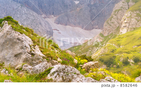 Rocky Mountains in Caucasus with Glacier snow and green valley Landscape Summer day 8582646