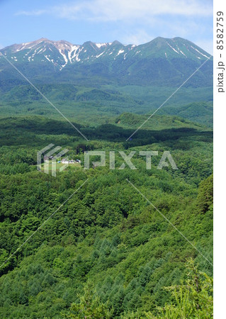 御嶽山 8582759