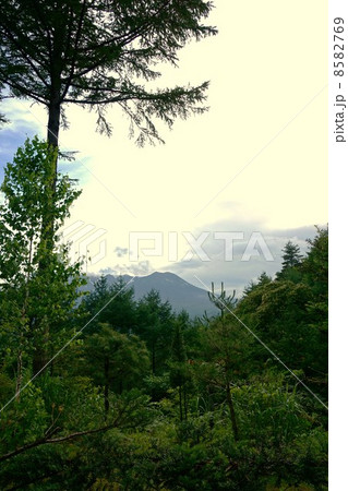 御嶽山 御嶽山 8582769