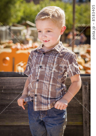 Little Boy With Hands in His Pockets at Pumpkin Patch. 8583405