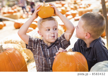 Two Boys at the Pumpkin Patch Talking and Having Fun. Two Boys at the Pumpkin Patch Talking and Having Fun. 8583432