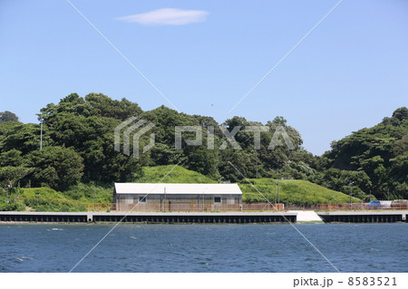 横須賀海軍施設 8583521