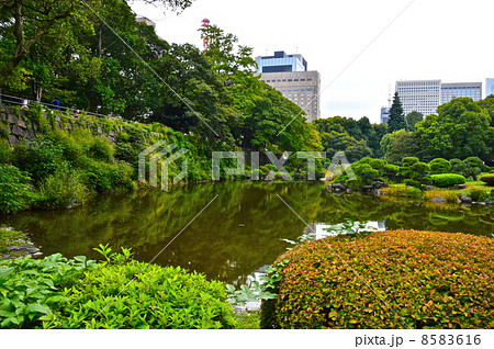 日比谷公園の「心字池」（東京都千代田区） 8583616