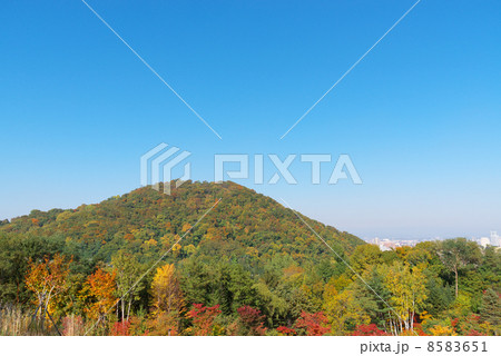 秋の札幌円山 8583651