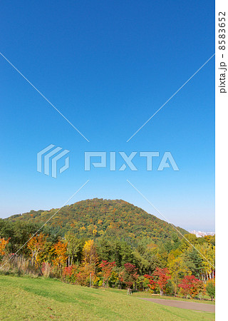 秋の札幌円山 8583652