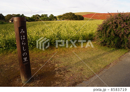 みはらしの里　夕景 8583719