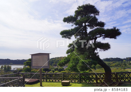 偕楽園 仙奕台 偕楽園 仙奕台 8584183