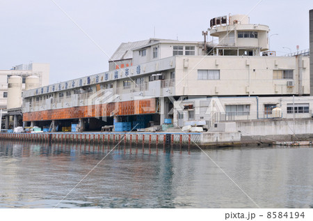 小田原漁業市場 8584194