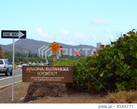 ハワイ ハロナ潮吹き穴 ハワイ ハロナ潮吹き穴 8584275