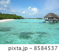 モルディブの海 8584537