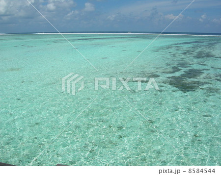 モルジブの海 モルジブの海 8584544