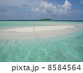 モルディブの真っ白なサンドバンク 8584564