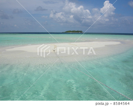 モルディブの真っ白なサンドバンク 8584564