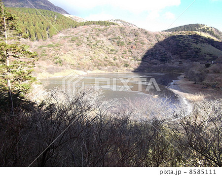 氷の張った精進池 8585111
