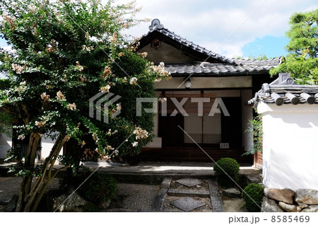 法輪寺 8585469