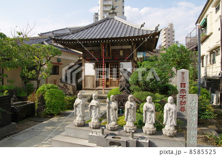 目赤不動尊(東京都文京区) 目赤不動尊(東京都文京区) 8585525
