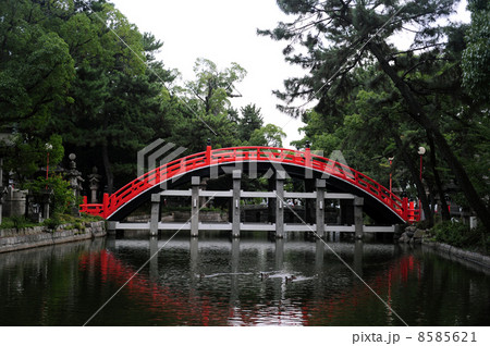 住吉大社の太鼓橋-3 住吉大社の太鼓橋-3 8585621