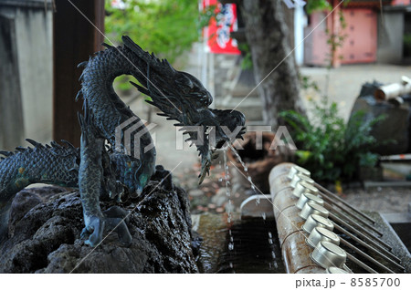 初辰さんの手水舎-2 8585700